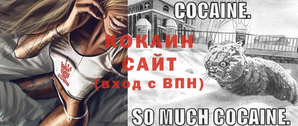 бошки Богданович