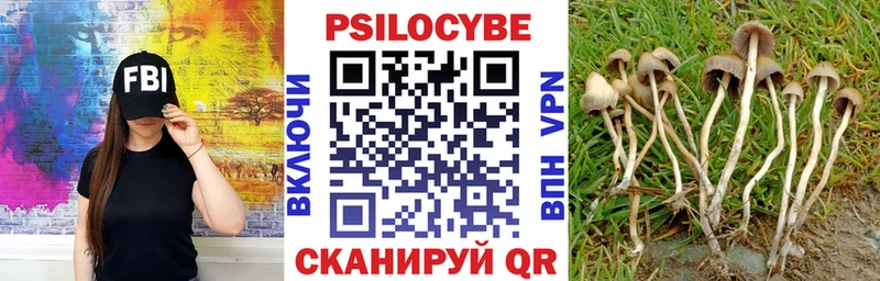 Псилоцибиновые грибы мицелий  хочу наркоту  Трёхгорный 